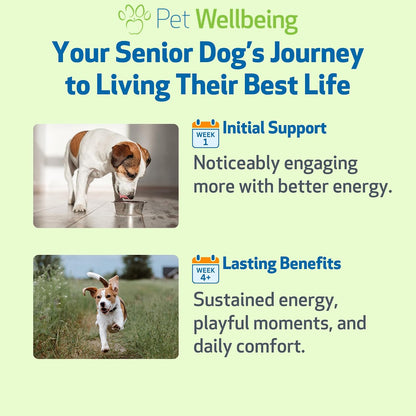 Pet Wellbeing Old Friend for Senior Dogs - Herbal Supplement for Immune, Joint, and Cognitive Support - 59 ml
