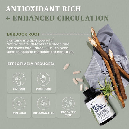 HAPPY FOX Irish Sea Moss Capsules with Burdock Root & Bladderwrack - Alternative to Seamoss Gummies or Powder, 90 Vegan Capsules, Made in the USA