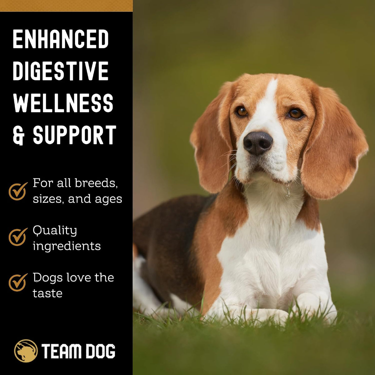 TEAM DOG Probiotic Chews for Dogs | Digestive Enzymes & Probiotics for Gut Health, Skin Support, and Sensitive Stomachs | 120 Chews - görsel 3