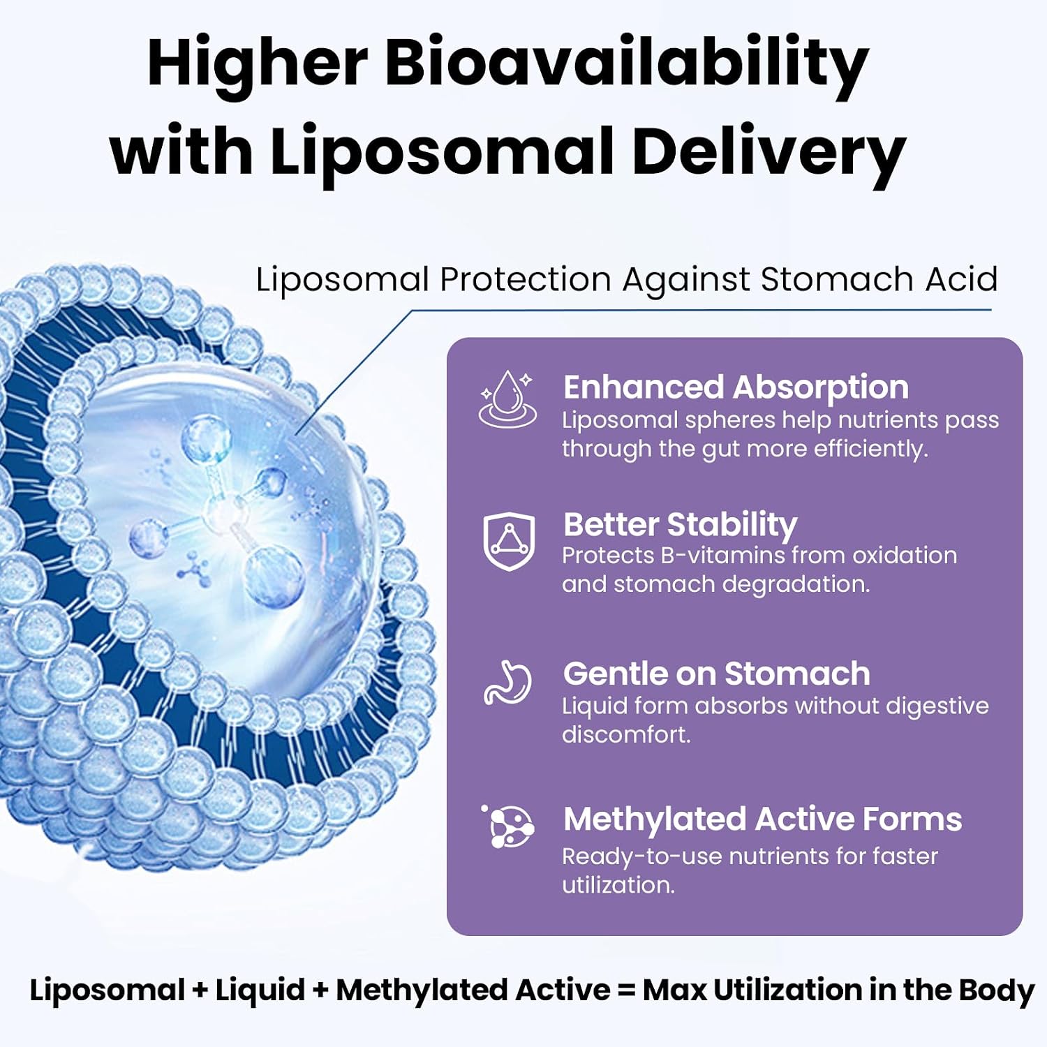 Franguly Liposomal B Complex - All B Vitamins, Methylated B12, Liquid Drops, 60 ml - görsel 2