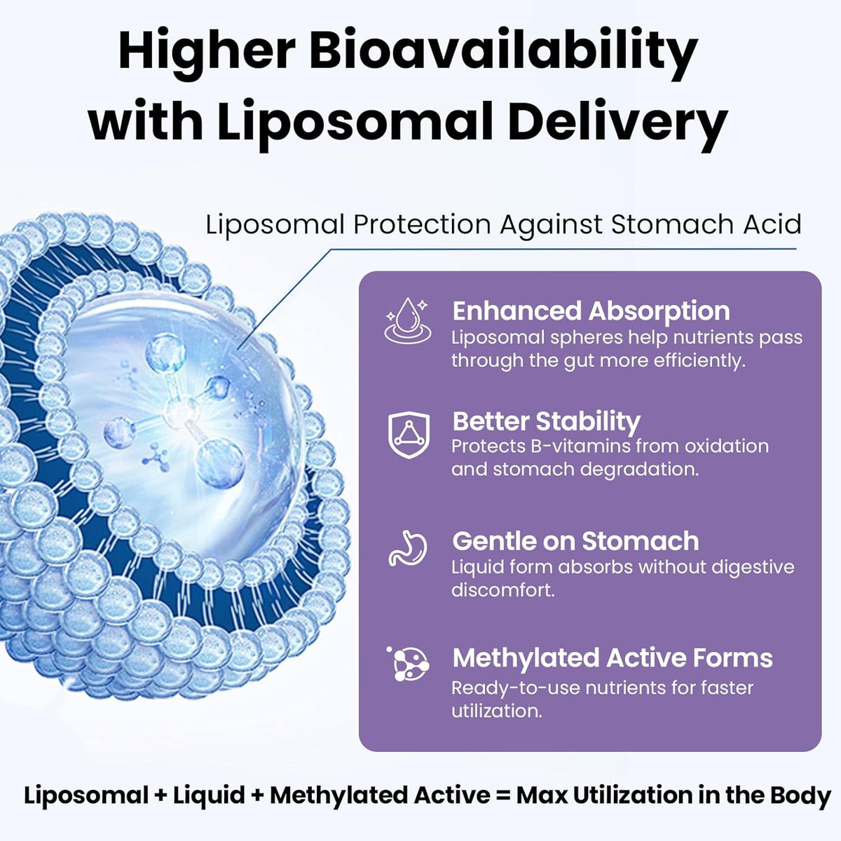 Liposomal Vitamin B Complex Liquid – Methylated B12 & Active B Vitamins for Energy and Immune Support (177 ml) - görsel 2