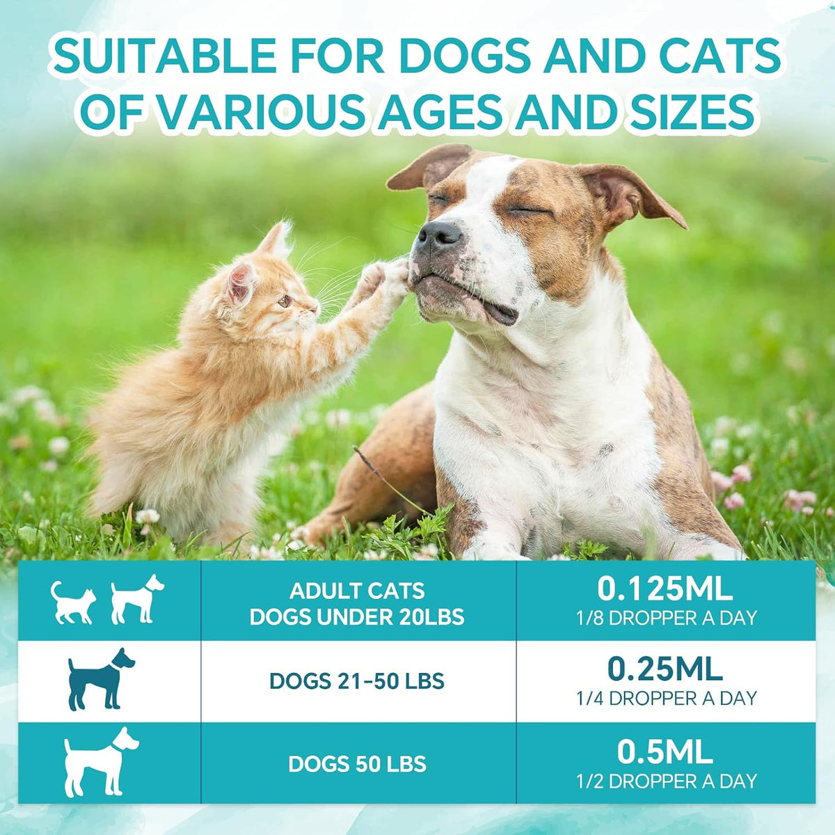 Woyamay Camling Oil for Dogs and Cats – Rich in Omega 3, 6, 9 and Organic Extract (4 Pack) - görsel 4