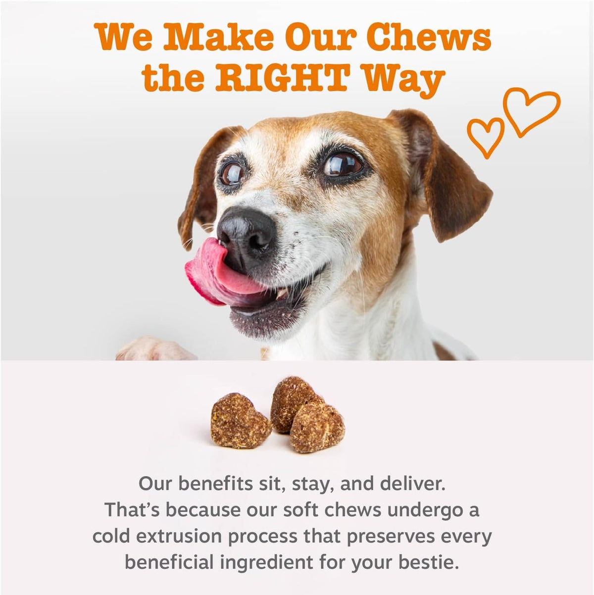 Zesty Paws Multifunctional Bites Dog Multivitamin, Chicken, 90 Chews - görsel 6