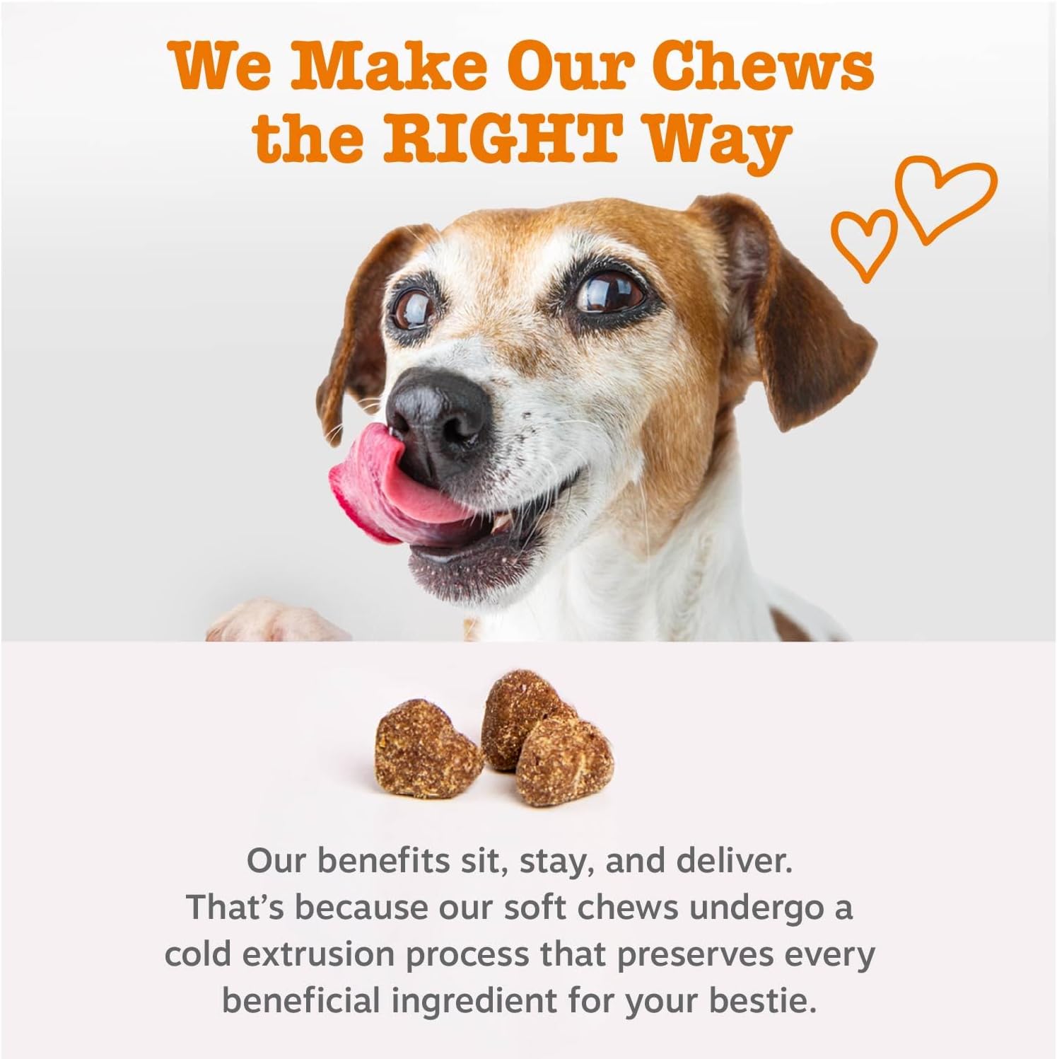 Zesty Paws Cardiovascular Support for Dogs – with CoQ10, Taurine, L-Carnitine & AlaskOmega Fish Oil – Senior Heart Health – Salmon – 90 Chews - görsel 7