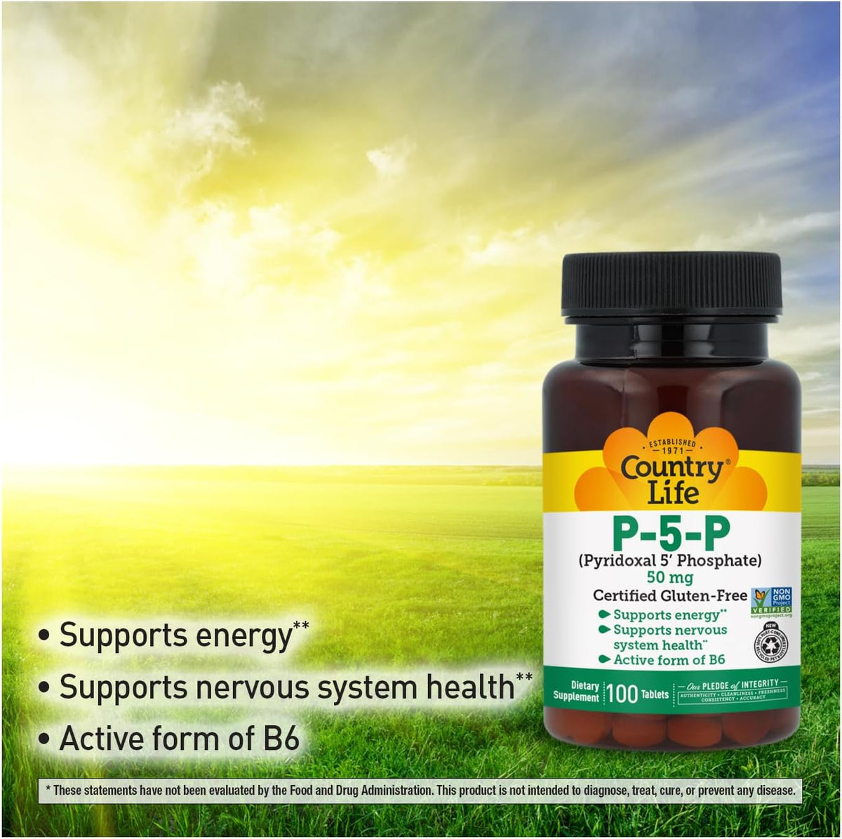 Country Life P-5-P Vitamin B6 – Bioavailable Pyridoxal-5-Phosphate – 100 Capsules - görsel 4