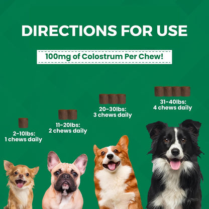 Progility Mini Allergy & Immune Supplement for Small to Medium Dogs – Advanced Immune Support for Everyday Wellness & Seasonal Sensitivities, Soft Chews (60 Count)