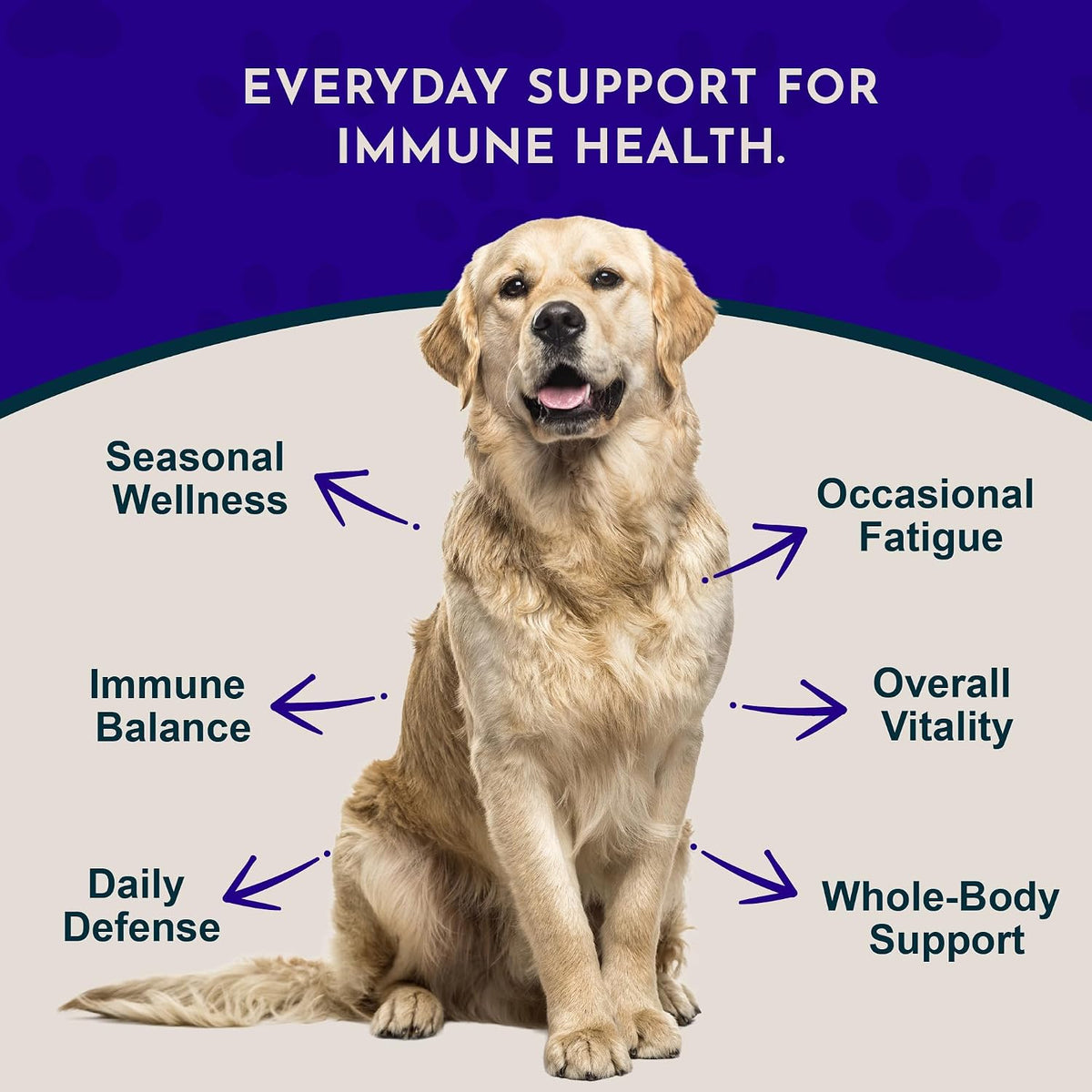 Animal Essentials Super Immune - Dog & Cat Immune Support Supplement (60 ml) - görsel 2