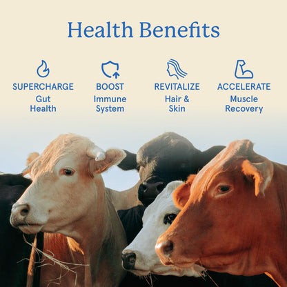 Equip Foods Core Bovine Colostrum Gummies - Peach Mango, 60 Gummies (30 Servings)