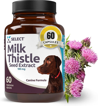 Milk Thistle for Dogs, 100mg – 60 Vegetable Capsules – Canine Liver Health Supplement