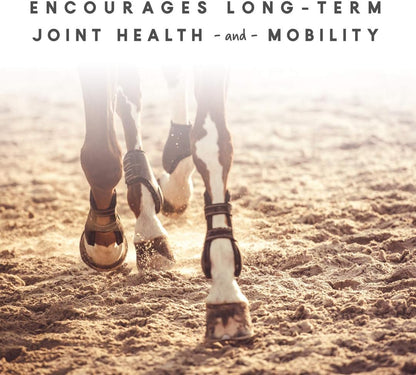 Manna Pro Cetyl-M Joint Supplement for Horses, Omega-5 Fatty Acids, Supports Mobility, Flexibility and Joint Health (5.1 kg)