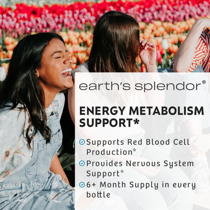 Earth's Splendor Vitamin B6 100mg, 250 Tablets – Energy & Metabolism Support