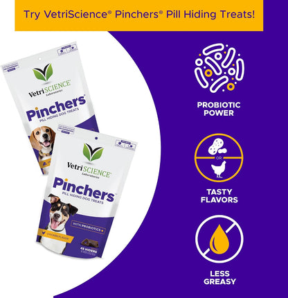 VetriScience Kidney Health Chewable Tablets for Dogs - Renal Support with Astragalus, Rehmannia, Nettle Seed & Cordyceps, 60 Tablets