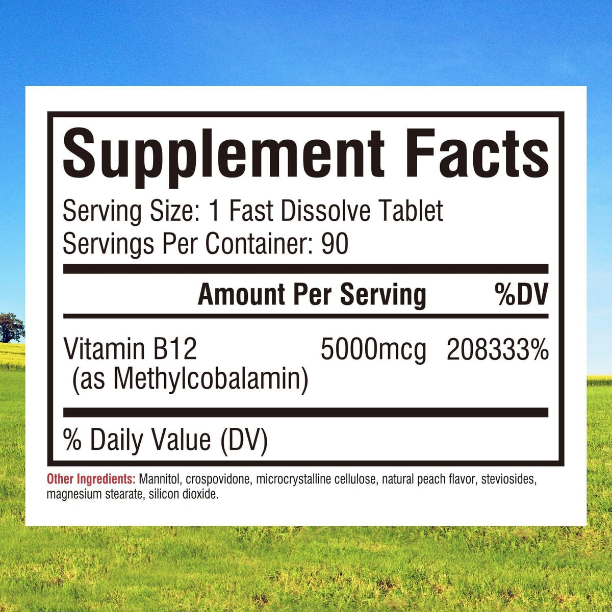 Innate Vitality Vitamin B12 5000mcg Sublingual Tablets - Vegan Methylcobalamin, Fast Dissolve, Natural Peach Flavour - 90 Count - görsel 2