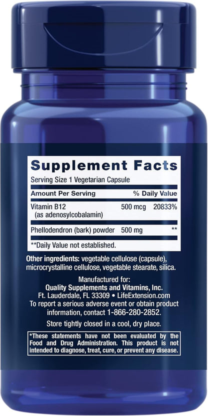Life Extension Dopamine Advantage: Phellodendron Bark and Vitamin B12 for Cognitive Health, Mental Sharpness and Motivation – 30 Capsules