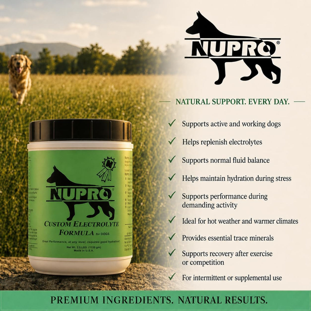 NUPRO Custom Electrolytes for Dogs - Hydration Support for Active and Working Dogs - görsel 6