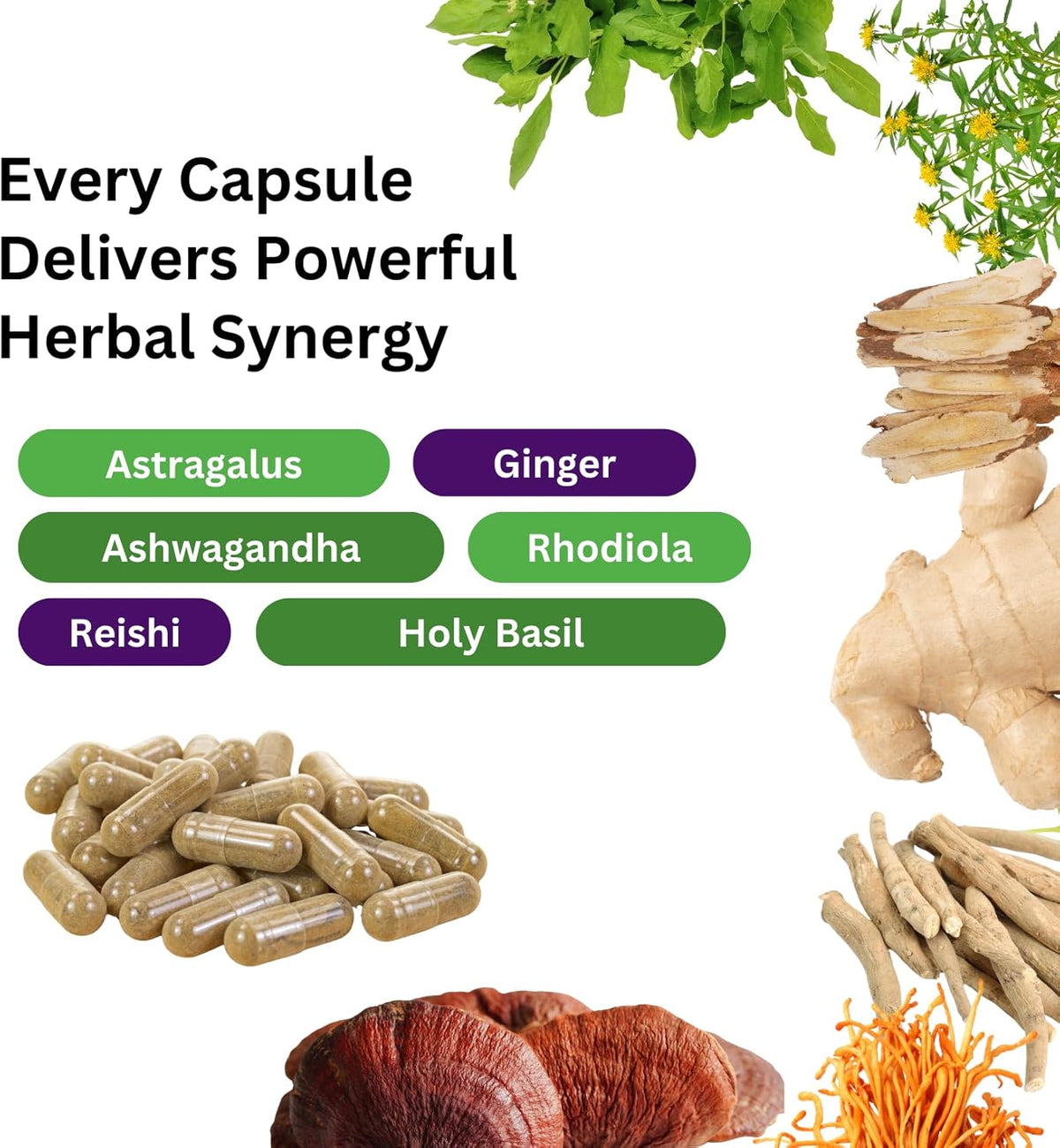 Paradise Herbs Imperial Adaptogens – Stress Support, Focus & Energy – 60 Vegetarian Capsules - görsel 3