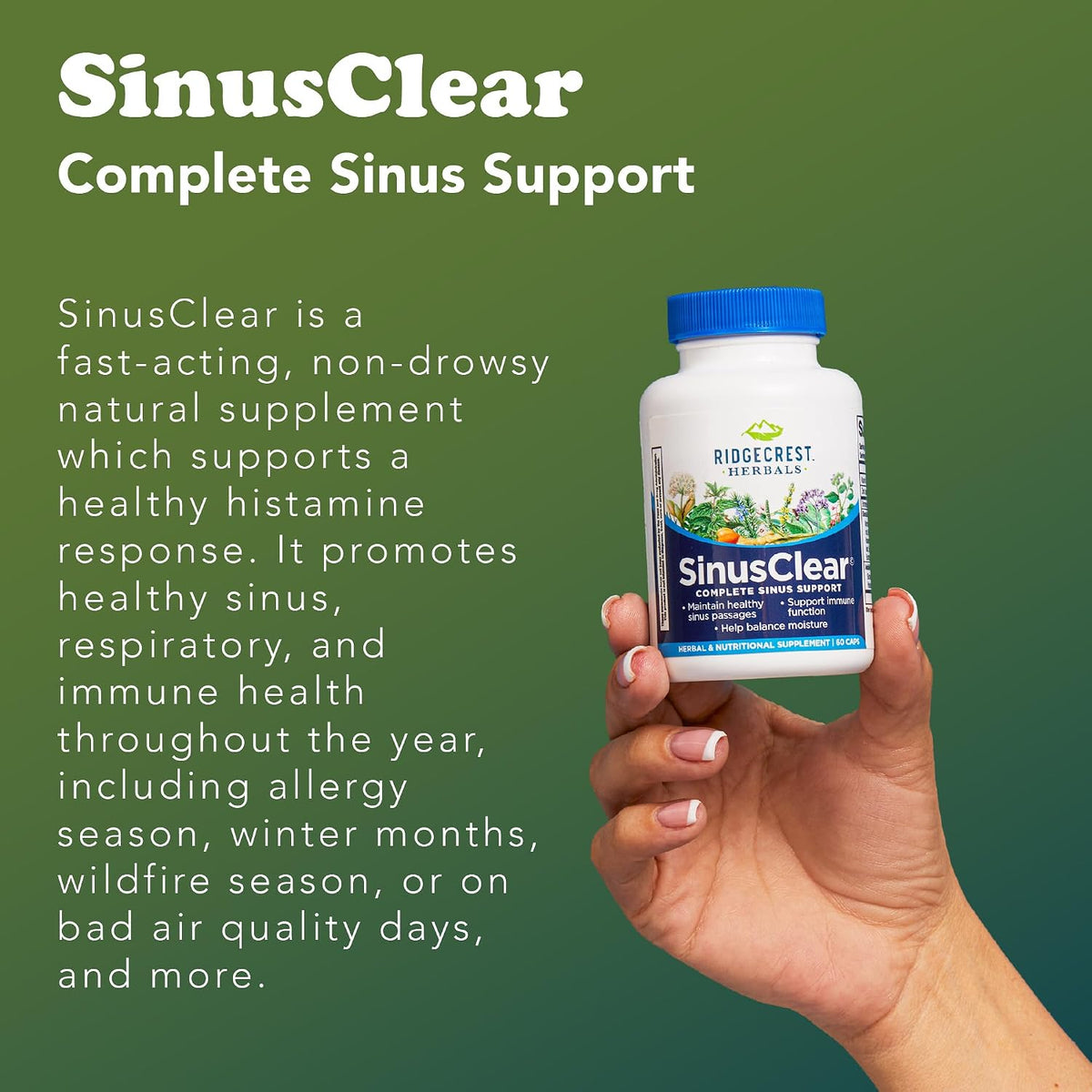 RidgeCrest Herbals SinusClear – Natural Sinus & Respiratory Support with Mullein, Bromelain, Vitamin C, and Zinc (60 Veg Caps) - görsel 7
