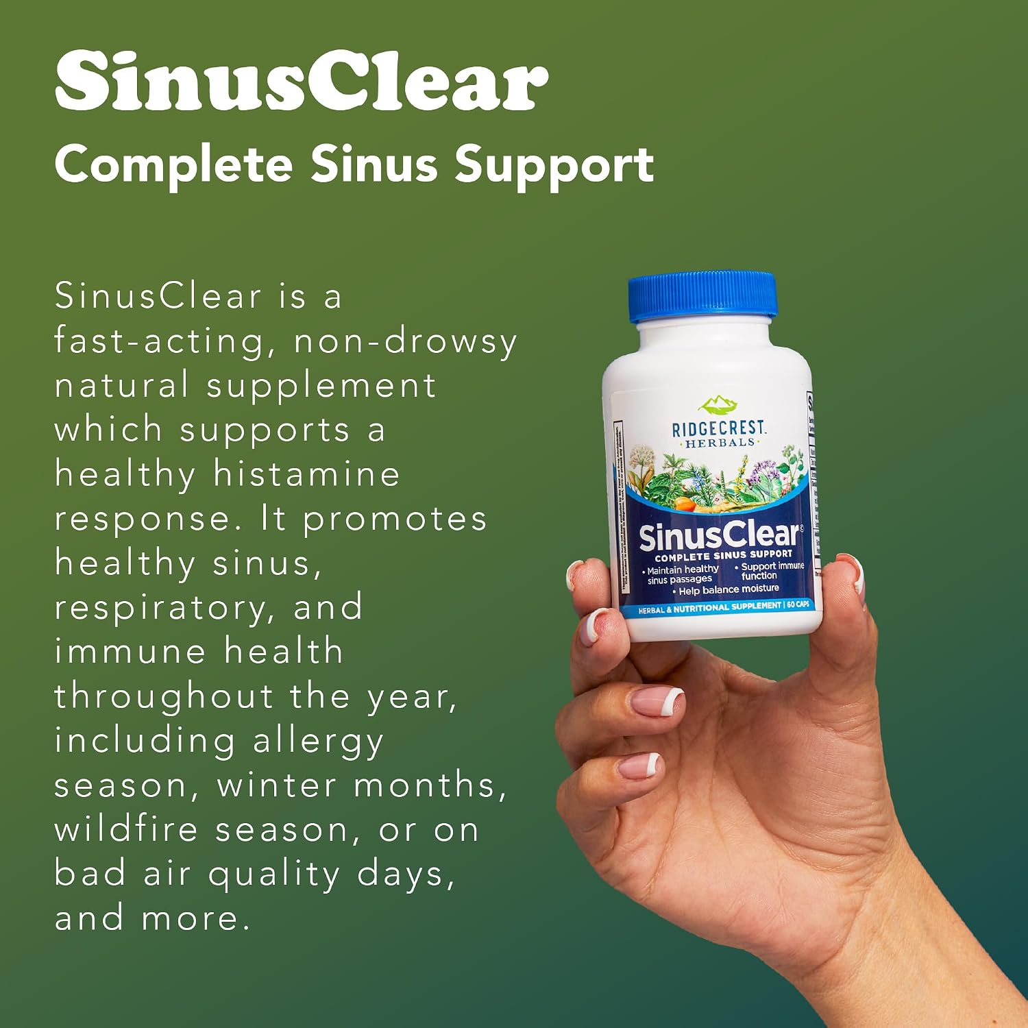 RidgeCrest Herbals SinusClear – Natural Sinus & Respiratory Support with Mullein, Bromelain, Vitamin C, and Zinc (60 Veg Caps) - görsel 7
