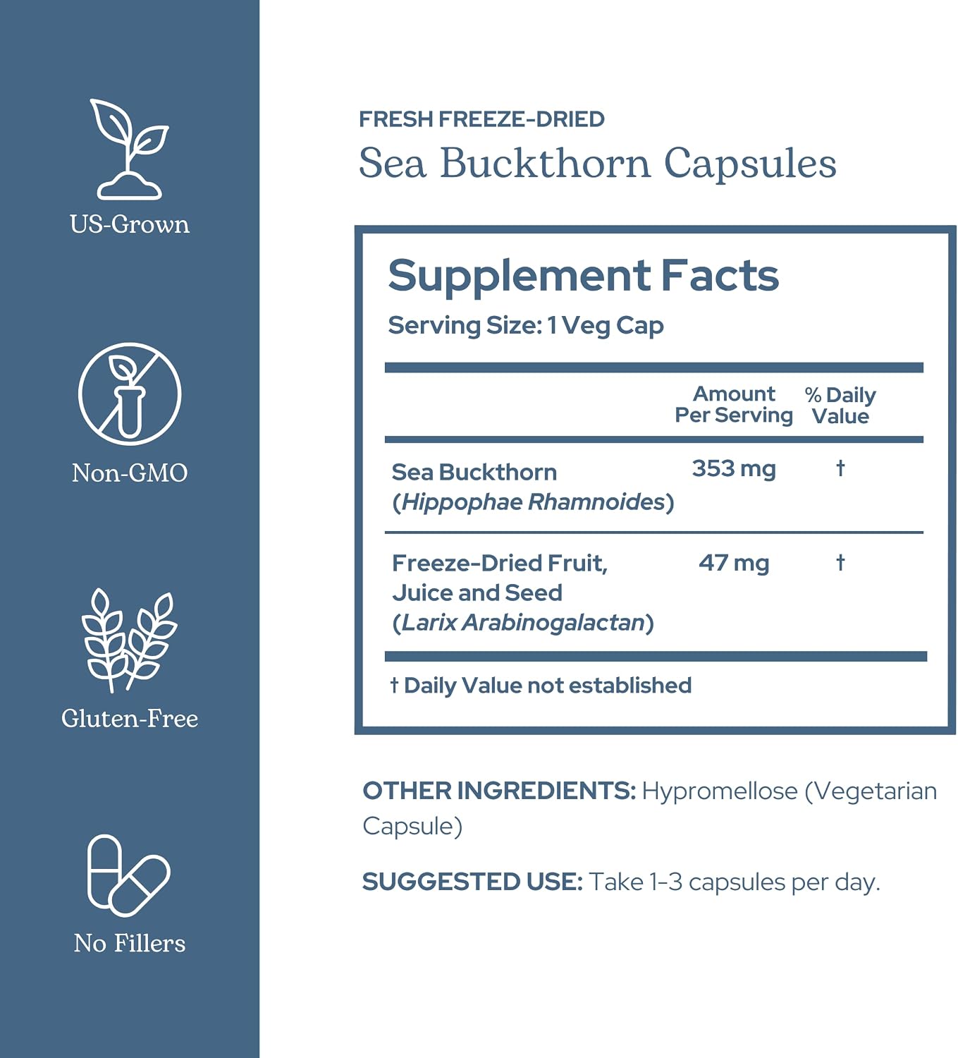 Eclectic Herb Sea Buckthorn Capsules - 400 mg, 90 Count - Freeze-Dried, Whole Herb Supplement - görsel 2