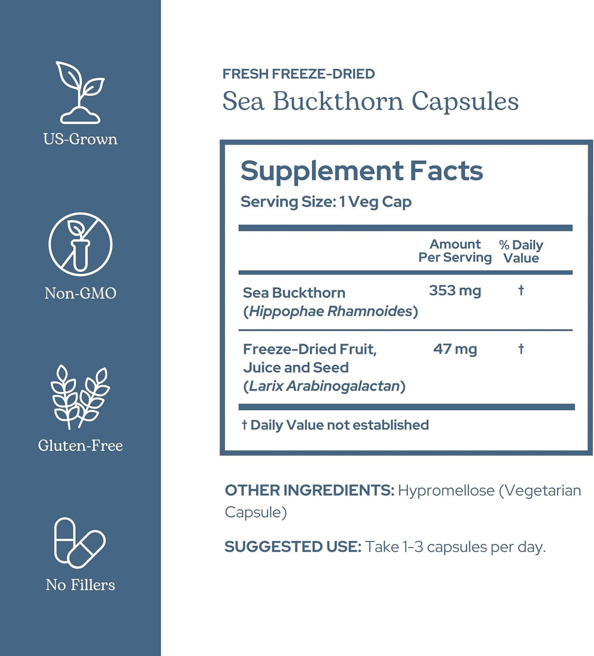 Eclectic Herb Sea Buckthorn Capsules - 400 mg, 90 Count - Freeze-Dried, Whole Herb Supplement - görsel 2
