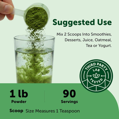 Micro Ingredients Organic Broccoli Powder, 454g | Raw Broccoli Powder | for Smoothies, Drinks & Recipes | USDA Organic, Non-GMO, Gluten-free, Vegan Friendly