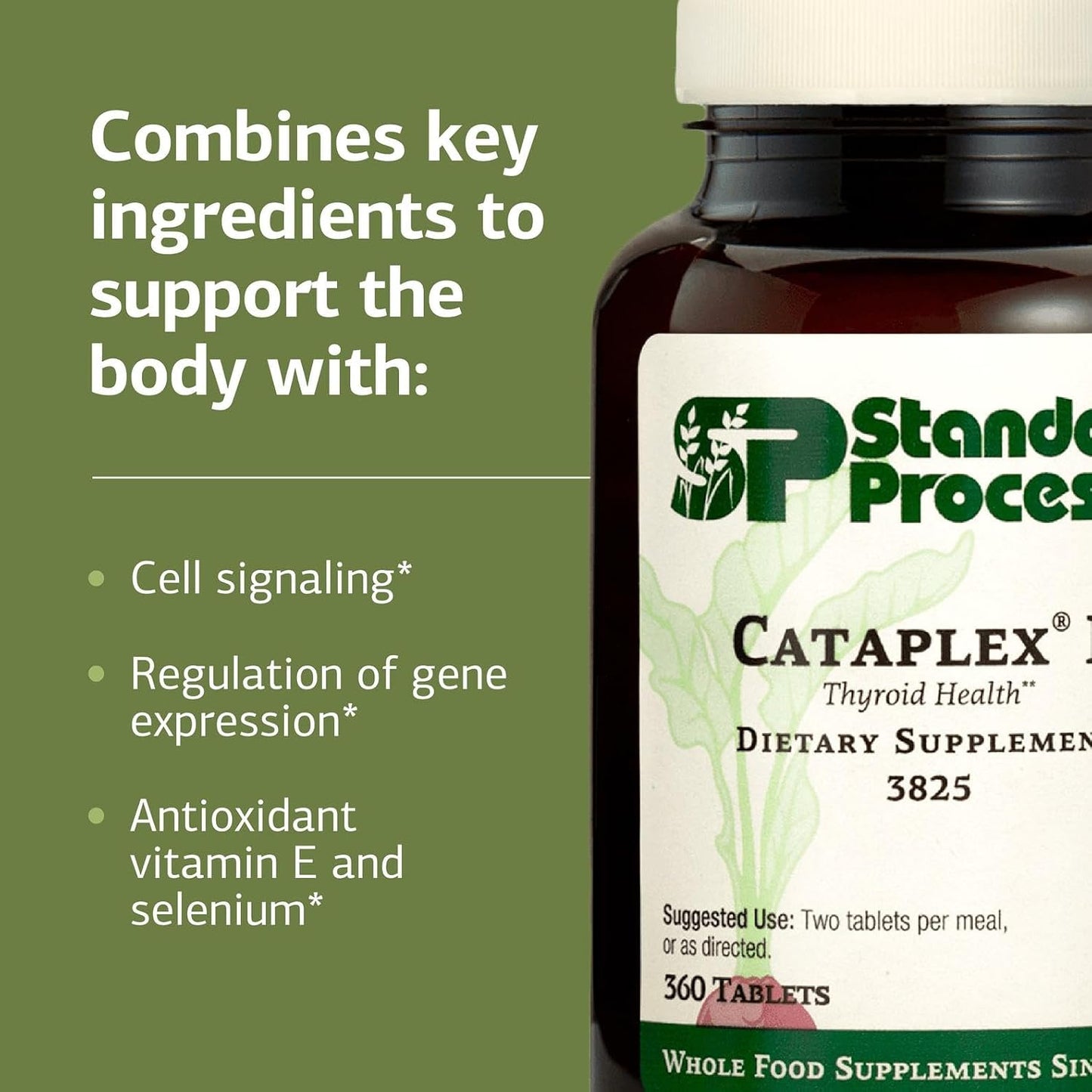 Standard Process Cataplex E Thyroid Health Dietary Supplement - Gluten-Free, Non-Dairy & Non-Soy - Endocrine Gland Health Support - 360 Tablets - görsel 4