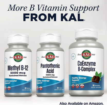KAL Pantothenic Acid 1000mg – Sustained Release Vitamin B5 (Vegan, 50 Tablets)