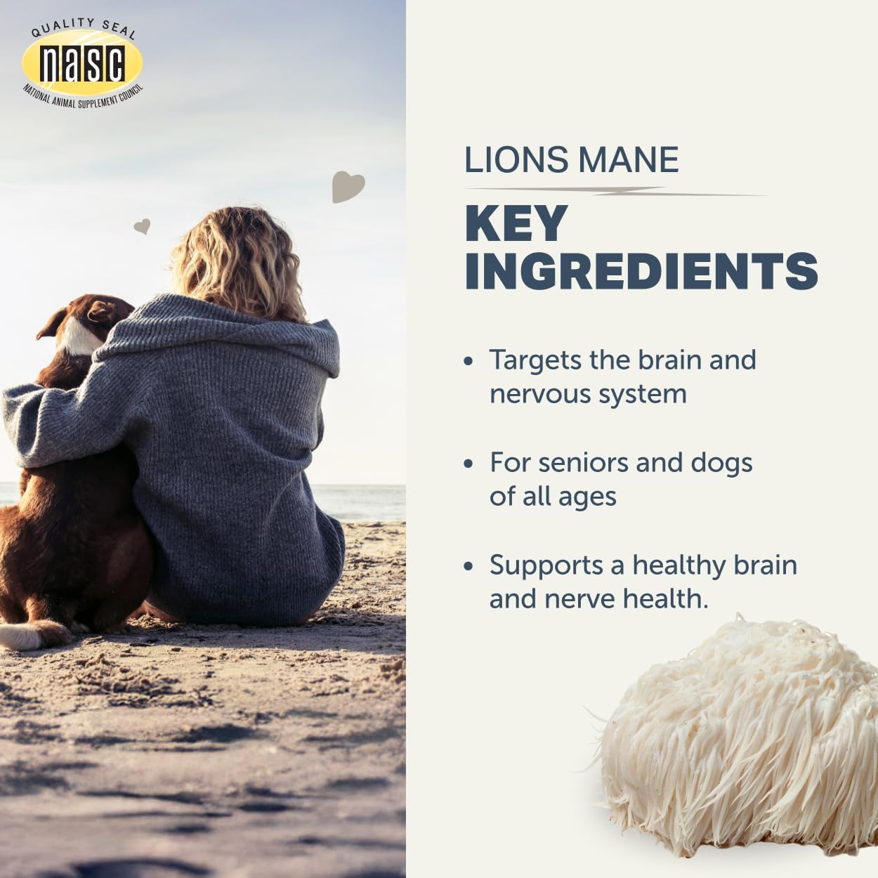 Lion's Mane Mushrooms for Dogs - Organic Whole Mushroom Supplement, Supports Brain and Nervous System, 60-Day Supply - görsel 7
