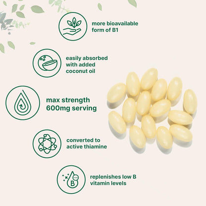Vitamin B1 Benfotiamine 600mg per Serving, 240 Coconut Oil Softgels | Bio-available B Vitamins Supplement, Converted to Active Thiamine | Non-GMO, Soya-free