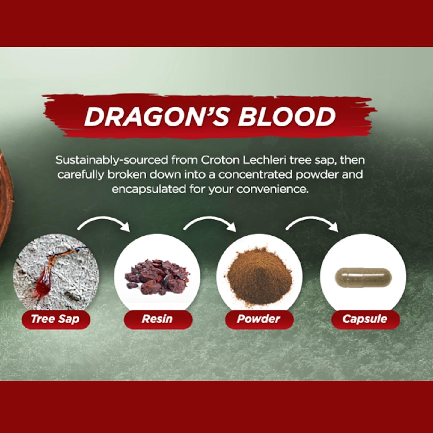 Vital Planet Dragon's Blood Resin Extract – 500mg, 60 Capsules - görsel 6