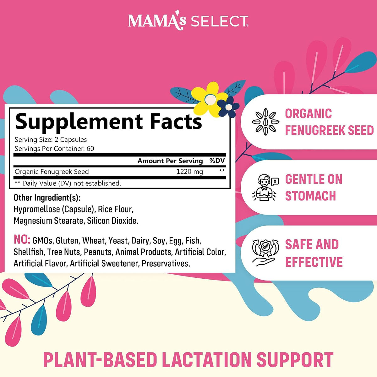Mama's Select Organic Fenugreek Capsules – Natural Herbal Lactation Supplement - görsel 2