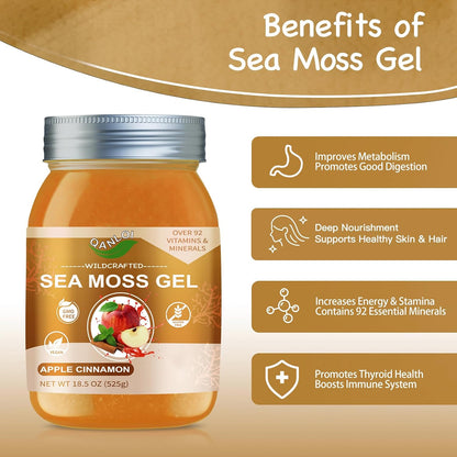 QANLOI Seamoss Raw Gel with Irish Sea Moss – Apple Cinnamon (525 g)
