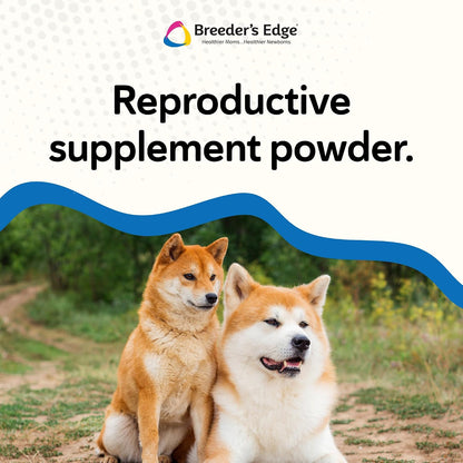 Breeder's Edge Problem Male Powder for Dogs & Cats, Supports Reproductive Health, Hormone Balance, Libido & Vitality, with Perna Mussel, 225 g