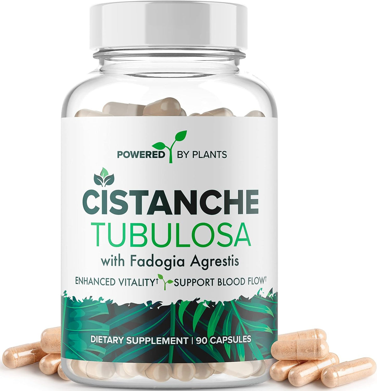 Cistanche Tubulosa with Fadogia Agrestis - Herbal Supplement for Vitality - 90 Capsules - görsel 1