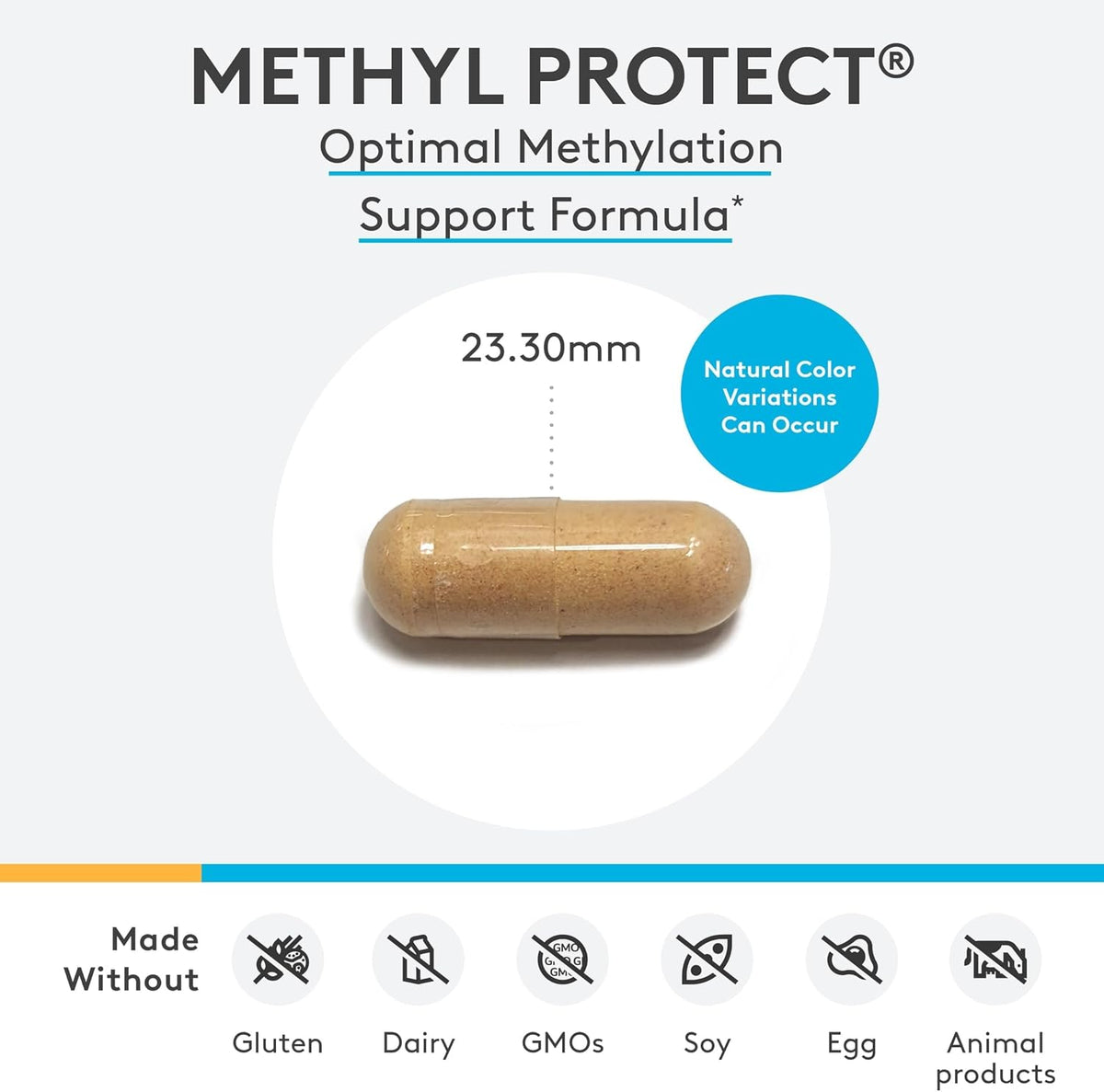 XYMOGEN Methyl Protect - 3,400 mcg 5-MTHF - Activated Vitamin B Supplement - 60 Capsules - görsel 7