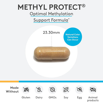 XYMOGEN Methyl Protect - 3,400 mcg 5-MTHF - Activated Vitamin B Supplement - 60 Capsules