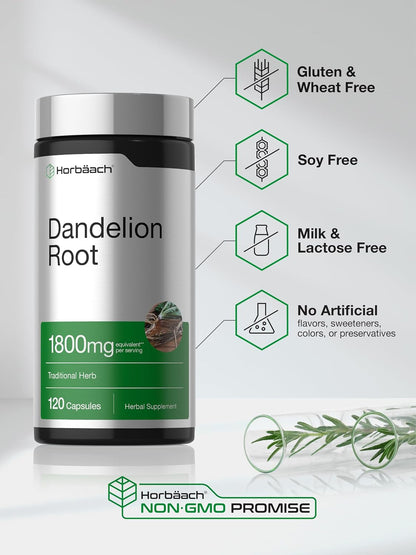 Horbäach Dandelion Root Supplement | 120 Capsules | Non-GM, Gluten-free