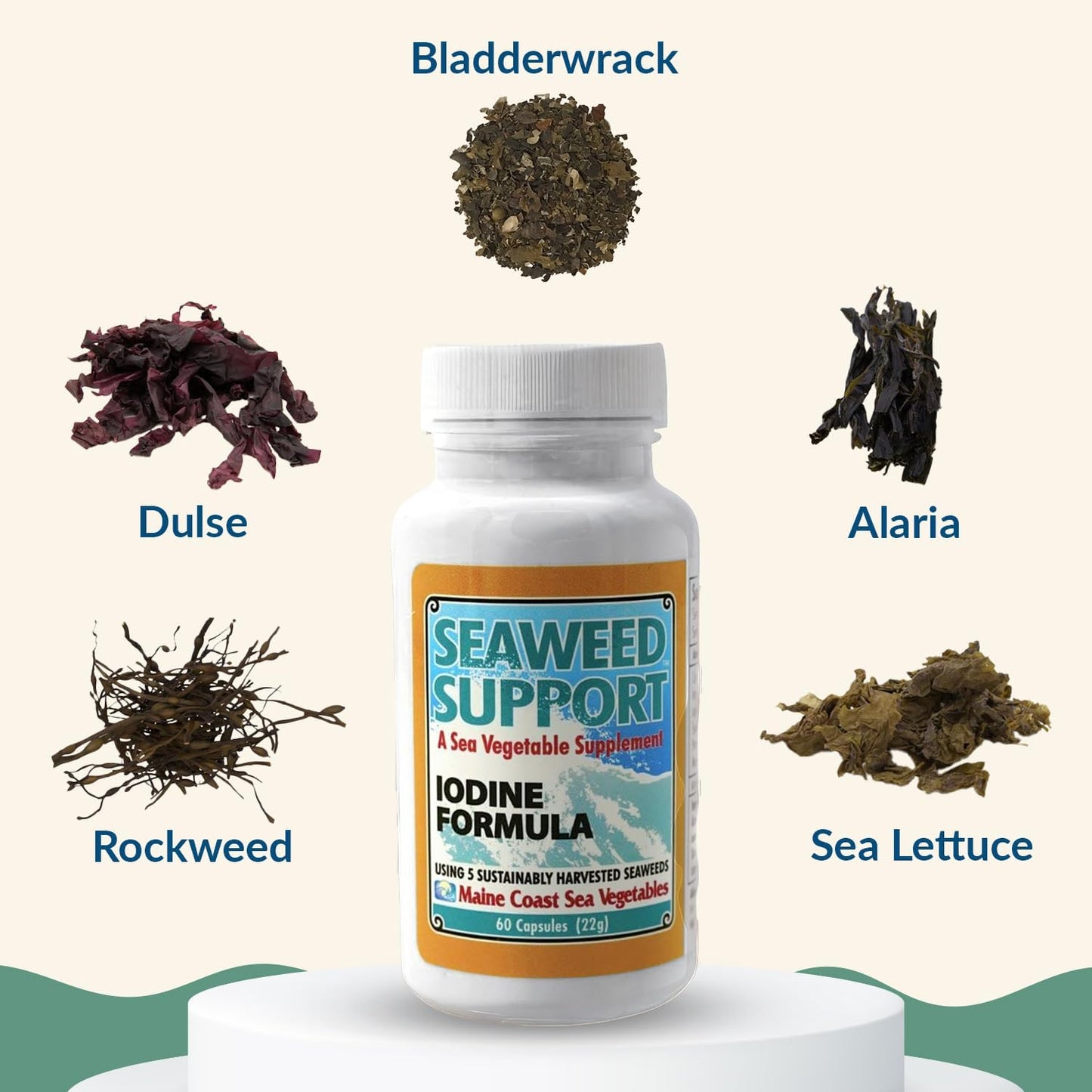 Maine Coast Sea Vegetables Seaweed Support Iodine Formula – Organic Seaweed Blend – 60 Capsules - görsel 3