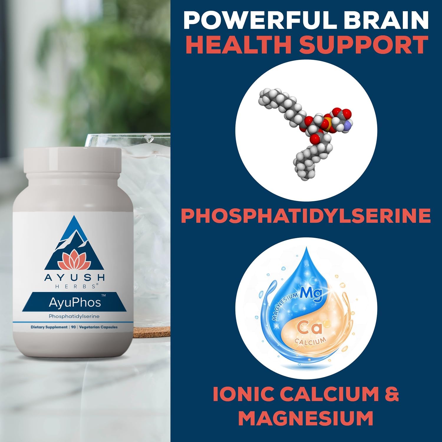 Ayush Herbs AyuPhos - Phosphatidylserine Supplement for Brain and Memory Support (200mg, 45 Capsules) - görsel 4