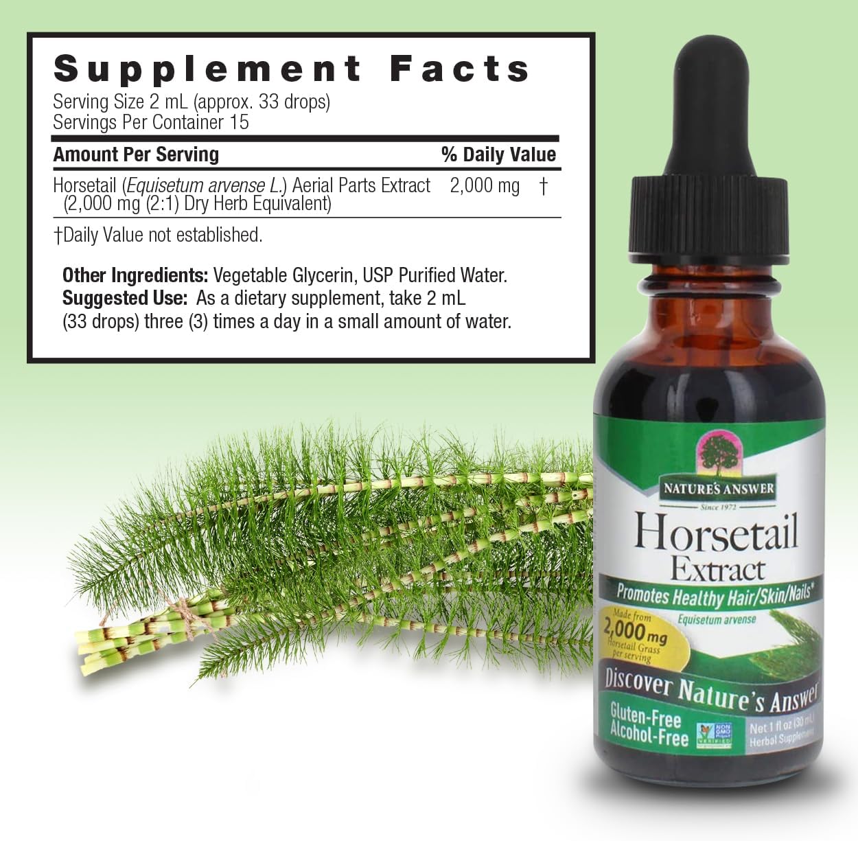 Nature's Answer Horsetail Extract (Alcohol Free) - 1 fl oz (30 ml) Super Concentrated - görsel 3