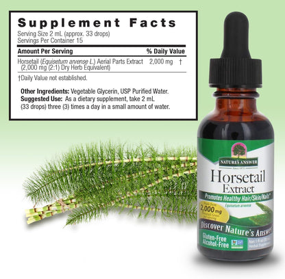 Nature's Answer Horsetail Herb Capsules (90 Capsules)