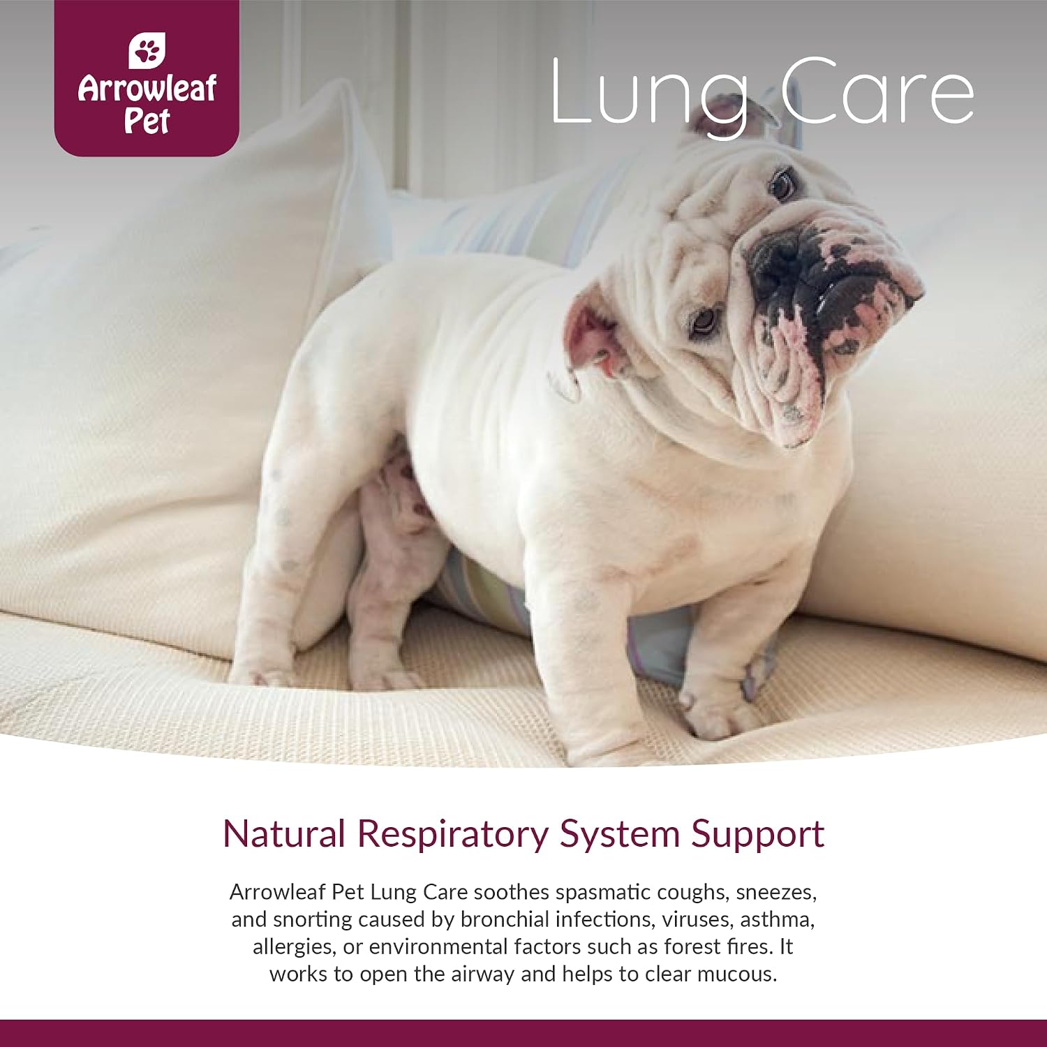 NaturPet Lung Care for Cats and Dogs | Respiratory Support Herbal Tincture (100 ml) - görsel 2