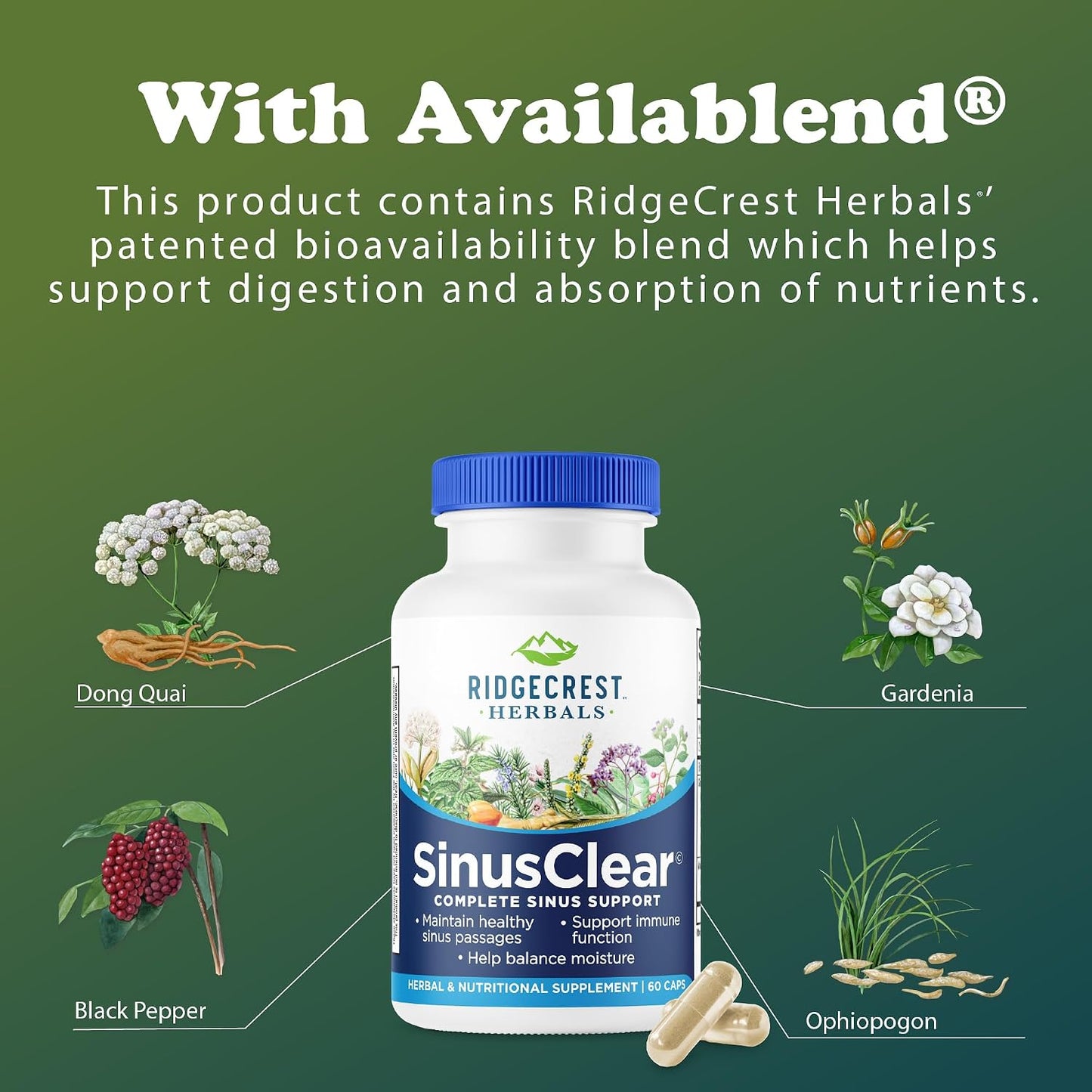 RidgeCrest Herbals SinusClear – Natural Sinus & Respiratory Support with Mullein, Bromelain, Vitamin C, and Zinc (60 Veg Caps) - görsel 6