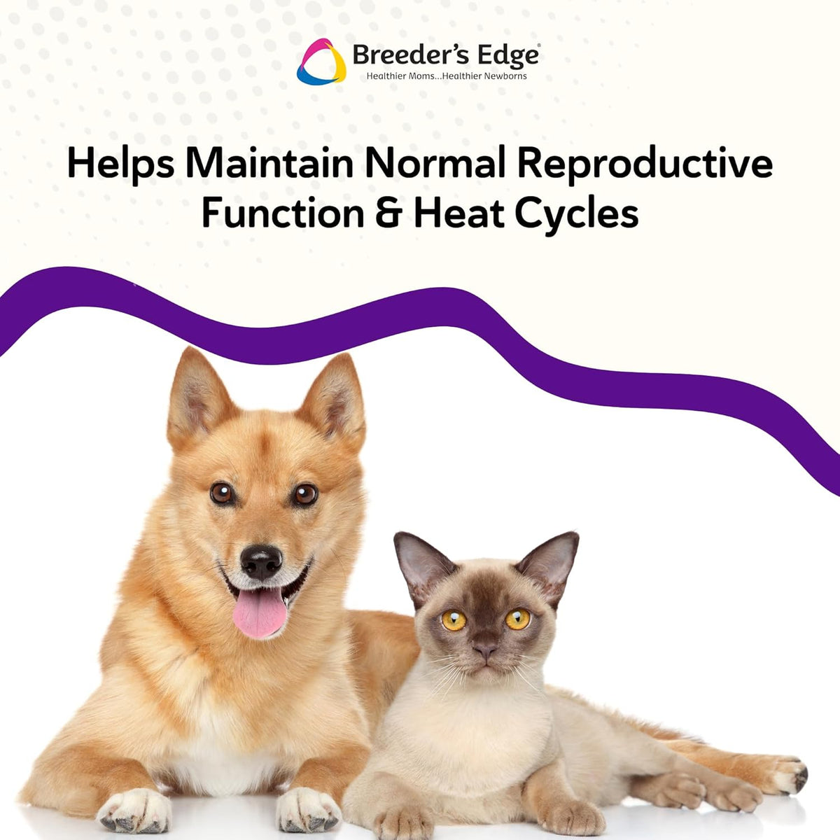 Breeder’s Edge B Strong Powder - B-Complex Supplement for Dogs and Cats, 300g - görsel 5