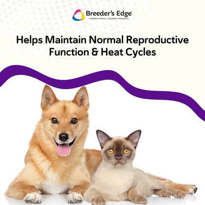 Breeder’s Edge B Strong Powder, B Complex Vitamin Supplement for Dogs and Cats, 1kg