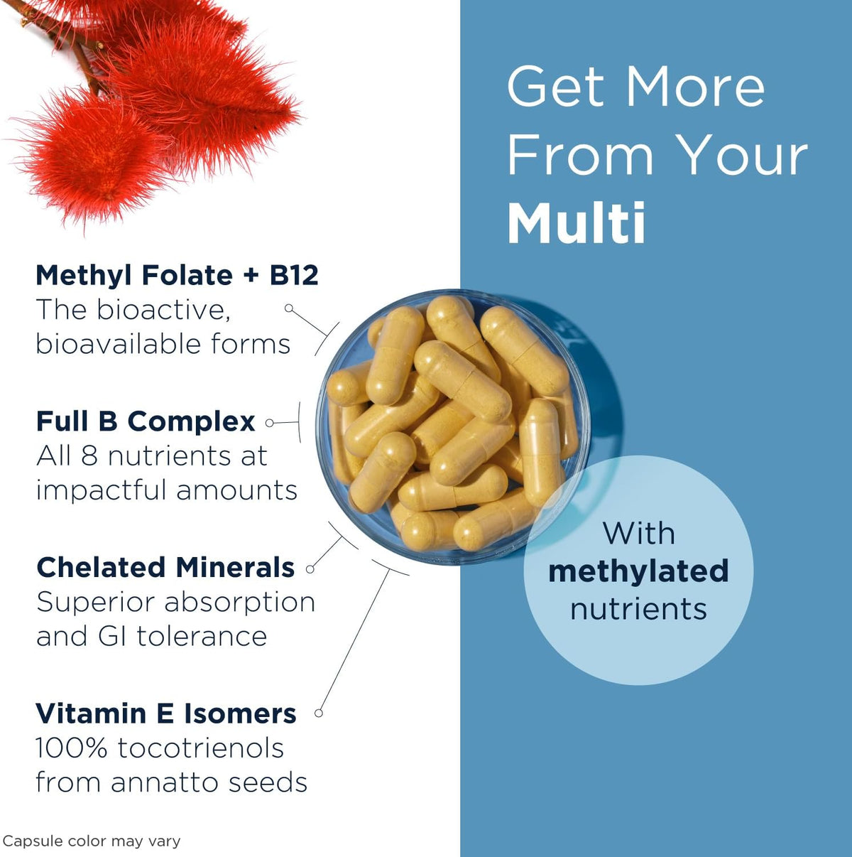 Designs for Health Methylated Multivitamin – Without Iron, 240 Capsules - görsel 3