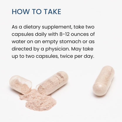 The Wellness Company Spike Support – Nattokinase, Dandelion Root & Black Sativa | 60ct (1 Month Supply)