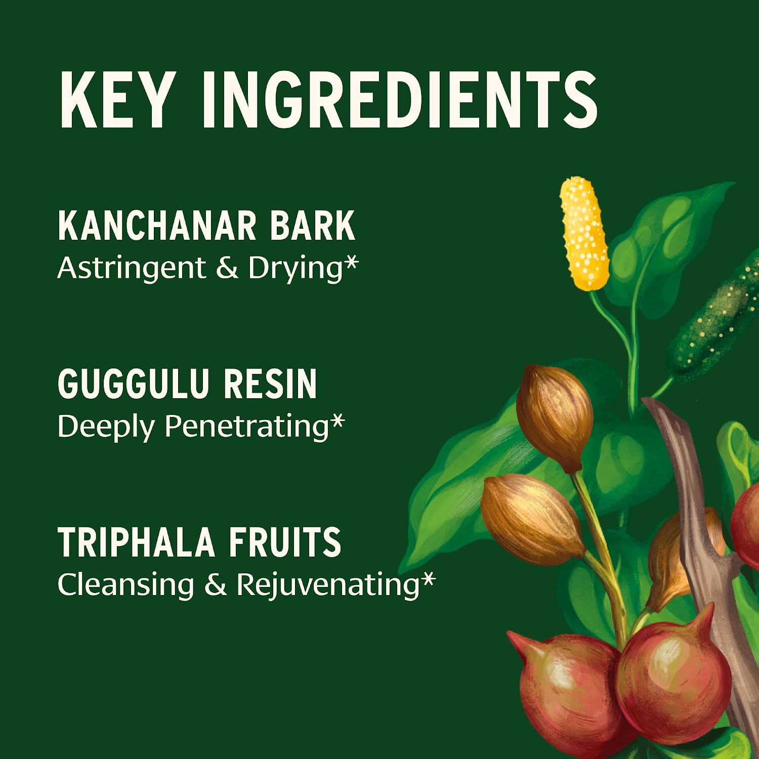 Banyan Botanicals Kanchanar Guggulu Tablets – Organic Lymphatic Supplement – 90 Tablets - görsel 3