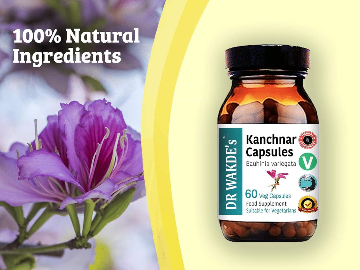DR WAKDE'S Kanchnar Capsules (Bauhinia variegata) - 60 Vegan Capsules | Traditional Ayurvedic Supplement | Pure & Natural - görsel 4