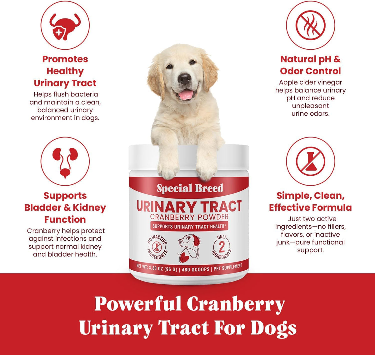 UTI & Urinary Tract Treatment for Dogs – Cranberry Powder for Bladder and Kidney Health – Helps Frequent Urination and Incontinence – Natural Dog UTI Support Supplement – Made in USA - görsel 3